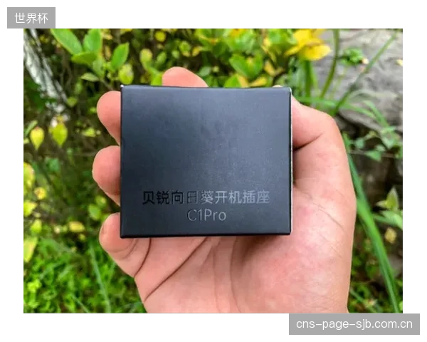 一次性买断模式将被淘汰，按月付费的“硬件+远程指导”订阅服务将主导市场